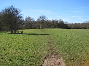 Jubilee Country Park grassland