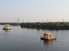 Karachi Mangroves