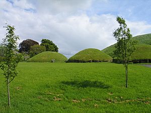 Knowth01.JPG