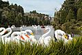 Lago Negro Gramado