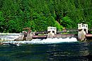 Leaburg Dam (Lane County, Oregon scenic images) (lanDA0035).jpg