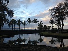 Liliuokalani Park Sunset