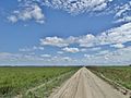 Llanos y cielo de Apure