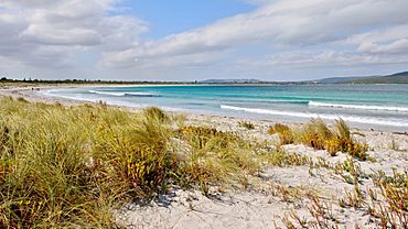 Middleton Beach, 2018 (04).jpg