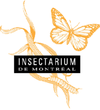 Montrealinsectariumlogo.png