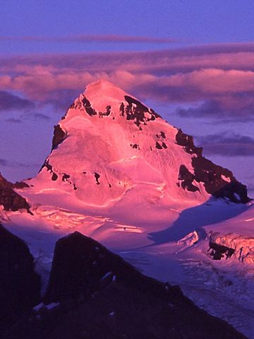 Mt. Forbes in Alpenglow, from Arctomys Peak.jpg