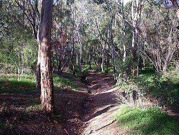 ParaHillsgully-20may2006.JPG