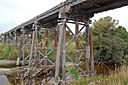 Paroa Trestle.jpg