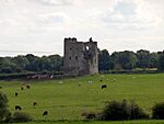 Rattin Castle, Westmeath, Ireland.jpg