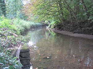 River Brent in Brent Park