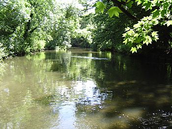 River Crane01.JPG