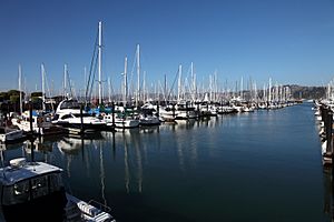 Sausalito Yacht Harbor