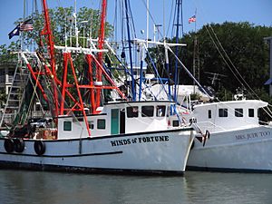 Shem Creek Boats