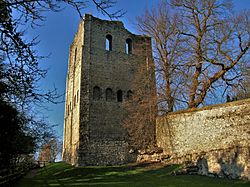 St Leonard's Tower, West Malling.jpg