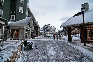 The Village at Snowshoe