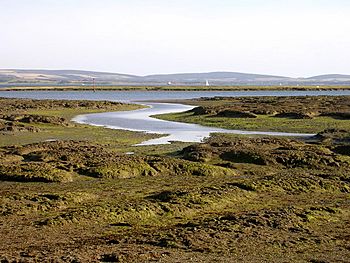 Tidal mudflats near Inchmery House, Lower Exbury - geograph.org.uk - 33289