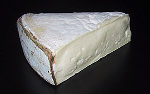 Vacherin du haut Doubs.jpg