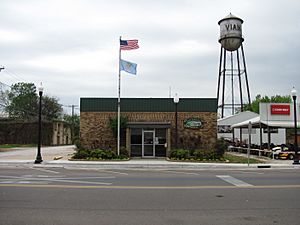 Vian Town Hall