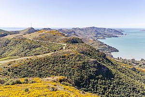 View of Port Hills from Mt Ada, Canterbury, New Zealand