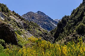 View to Black Range from Cass River, Craigieburn Forest Park, New Zealand.jpg