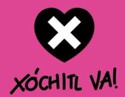 XochitlVaLogo