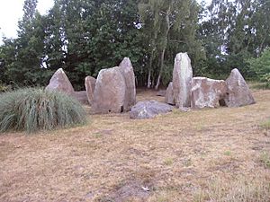 A Long Barrow - geograph.org.uk - 21533.jpg