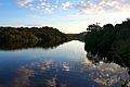 Amanhecer no Amazonas