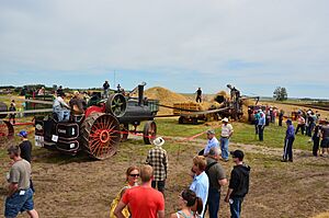 Annual Show - Threshing Demonstration