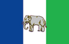 Flag of Centro Sur