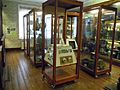 Barnstaple Museum Ceramic Display