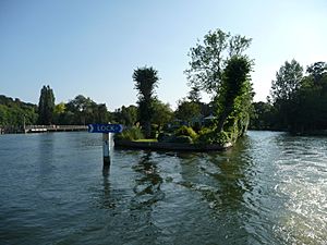 Boulters Island head (Nancy)