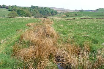 Brearley Brook.JPG