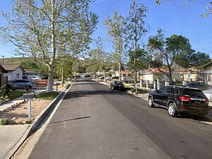 Canyon Country homes