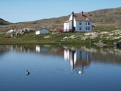 Carlb-fogo-newfoundland-ducks-2002