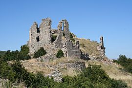 Chateau-pierregourde-5.jpg