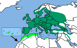 CyanistesCaeruleusDistribution.png