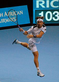 David Ferrer (8168180712)