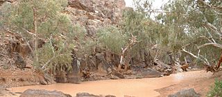 Depot glen pano