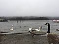 Derwent Water with mist