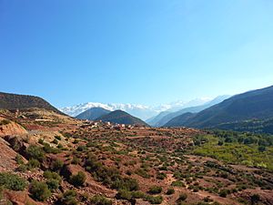 Djebel Toubkal 01