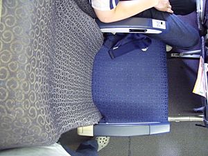 Economy Seat