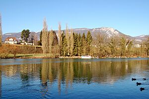 Feldbrunnen Sued aare