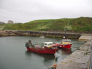 Gill's Bay - geograph.org.uk - 11319