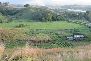 Guadalcanal Field