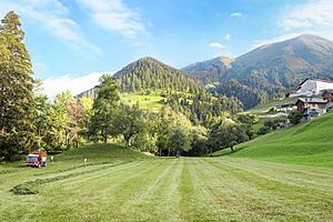 Hayfield in Heidiruti (ground view)