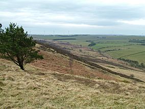 Hedleyhope Fell, Co Durham.jpg