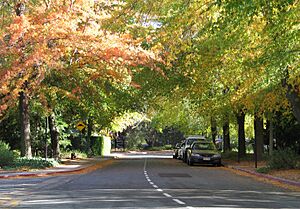 Linnaeus Way, Canberra (131308881)