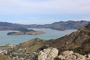 Lyttelton Harbour 30