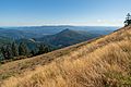 Marys Peak Meadow