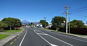 MerrilandsNewPlymouth2016.jpg